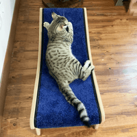 Load image into Gallery viewer, cat hammock lounger
