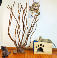 Load image into Gallery viewer, Handmade Luxury Pet Luna Cat House &amp; Scratcher with Soft Mattress

