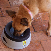 Load image into Gallery viewer, Pets Loaf Travel Non Spill Water Bowl
